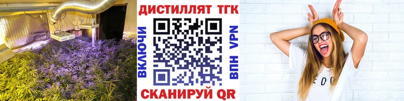 Дистиллят ТГК концентрат  где найти   Луга 