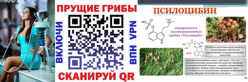 Псилоцибиновые грибы Magic Shrooms  сайты даркнета какой сайт  Луга  купить  сайты 