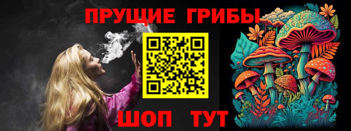 Псилоцибиновые грибы Cubensis  Псилоцибиновые грибы мицелий  Вход с VPN  Луга 