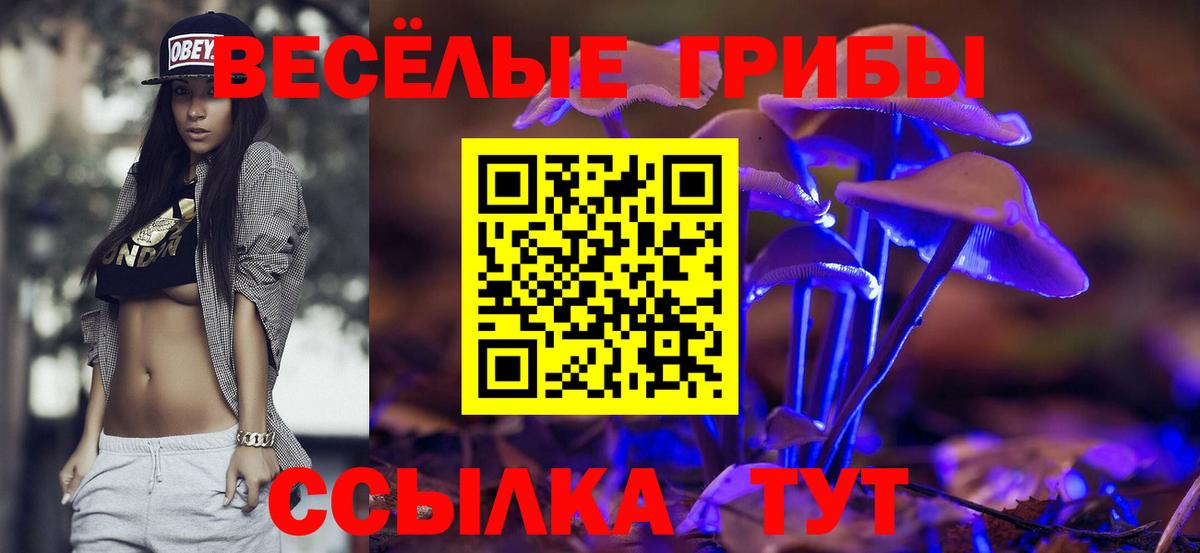 Псилоцибиновые грибы MAGIC MUSHROOMS Луга